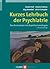 Kurzes Lehrbuch der Psychiatrie by Daniel Hell