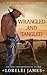Wrangled and Tangled (Blacktop Cowboys, #3)