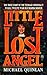 Little Lost Angel by Michael Quinlan