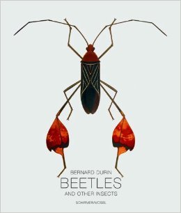 Bernard Durin: Beetles and Other Insects