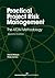 Practical Project Risk Management: The ATOM Methodology