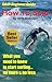Adult Beginner Guide | How To Surf by Chris          Anderson