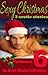 Sexy Christmas Stories - Volume Six