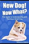 New Dog! Now What? The Guide to Understanding and Training a Small Dog