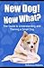 New Dog! Now What? The Guide to Understanding and Training a ... by Rebecca Adams