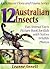 12 Australian Insects! Kids Book About Insects by Leanne Annett
