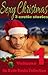 Sexy Christmas Stories - Volume One