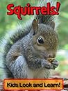 Squirrels! Learn About Squirrels and Enjoy Colorful Pictures - Look and Learn! (50+ Photos of Squirrels)