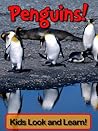 Penguins! Learn About Penguins and Enjoy Colorful Pictures - Look and Learn! (50+ Photos of Penguins)