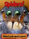 Spiders! Learn About Spiders and Enjoy Colorful Pictures - Look and Learn! (50+ Photos of Spiders) Spiders! Learn About Spiders and Enjoy Colorful Pictures - Look and Learn! (50+ Photos of Spiders)