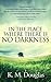 In the Place Where There Is No Darkness