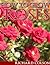How To Grow Roses