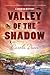 Valley of the Shadow (Cornish Mystery #3)