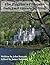 The Pilgrim's Progress (The Pilgrim's Progress #1-2)
