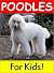 Poodles for Kids!