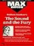The Sound and the Fury (MAXNotes Literature Guides)