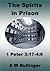 The Spirits in Prison: 1 Peter 3