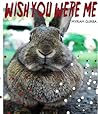 Wish You Were Me