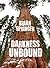 Darkness Unbound (The Thirt...
