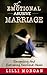 The Emotional Abusive Marriage by Lilli Morgan