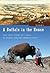 A Buffalo in the House by R.D. Rosen