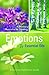 Emotions & Essential Oils: A Modern Resource for Healing