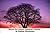 Beyond the Literary-Industr...