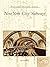New York City Subways (Postcard History Series)