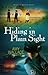 Hiding in Plain Sight (Place of Refuge Series Book 1)