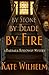 By Stone By Blade By Fire (Barbara Holloway #13)