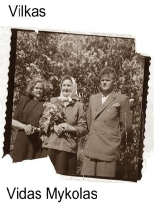 Vilkas (Kindle Edition)