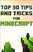 Minecraft Guide: Top 30 Tip...
