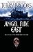 Angel Fire East (The Word and the Void #3)