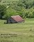 Mountain Memories: True Sto...