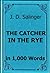 Salinger - The Catcher in the Rye - Book Summary in 1,000 Words by Read Less Know More