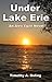 Under Lake Erie by Timothy A. Boling