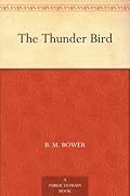 The Thunder Bird