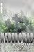 Nebelgrab