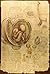 The Notebooks of Leonardo Di Vinci by Leonardo da Vinci