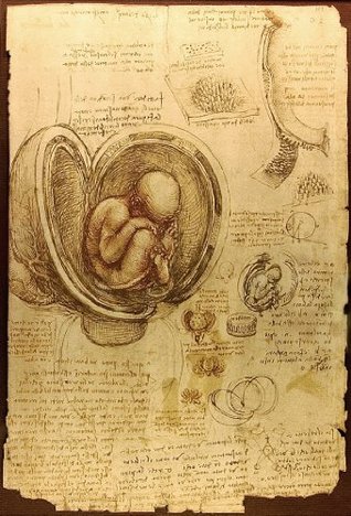 The Notebooks of Leonardo Di Vinci