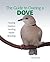 Guide to Owning a Dove