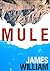 Mule