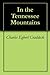 In the Tennessee Mountains by Charles Egbert Craddock