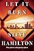Let It Burn (An Alex McKnight Novel Book 10)