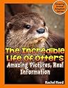 The Incredible Life Of Otters: Amazing Pictures, Real Information (Amazing Animal Kingdom Series Book 1)