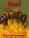 Bees! Learn About...