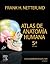 Atlas de Anatomía Humana + StudentConsult by F.H. Netter