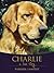 Charlie by Barbara  Lampert