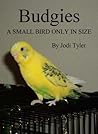 Budgies: A Small ...