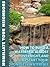 How To Build A Waterfall Almost Overnight And Jumpstart Your ... by Little Pearl